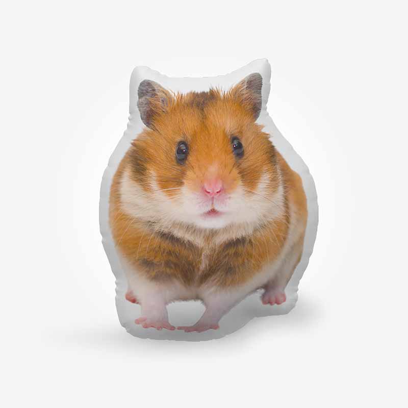 Custom Hamster Photo Shaped Pillow
