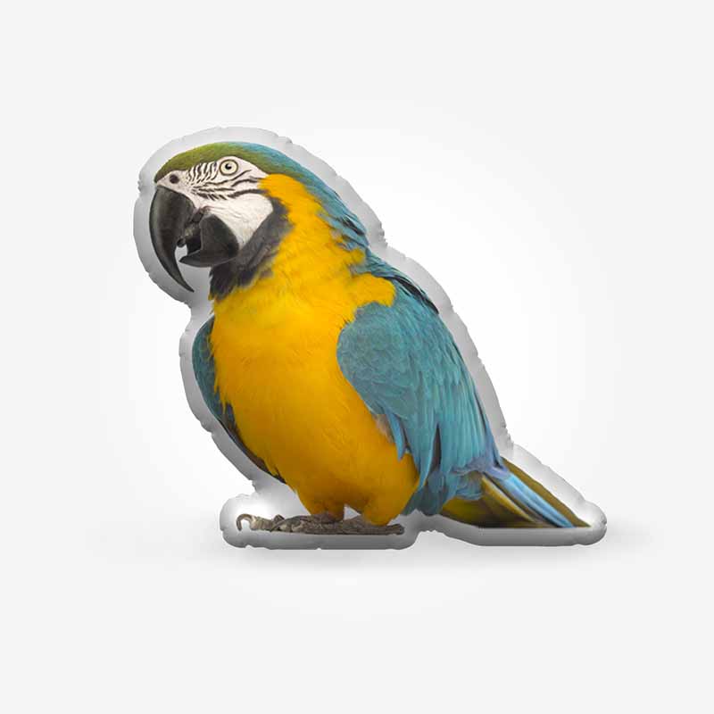 Custom Parrot Photo Shaped Pillow